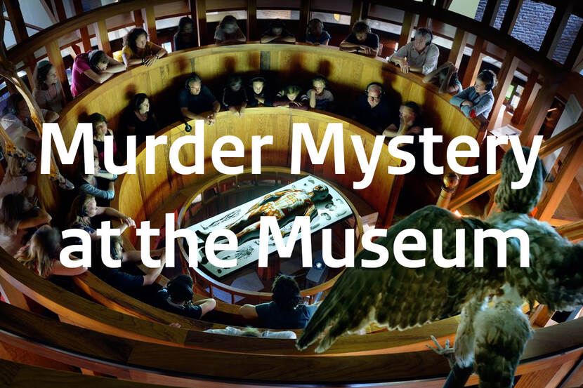Murder Mystery at the Museum