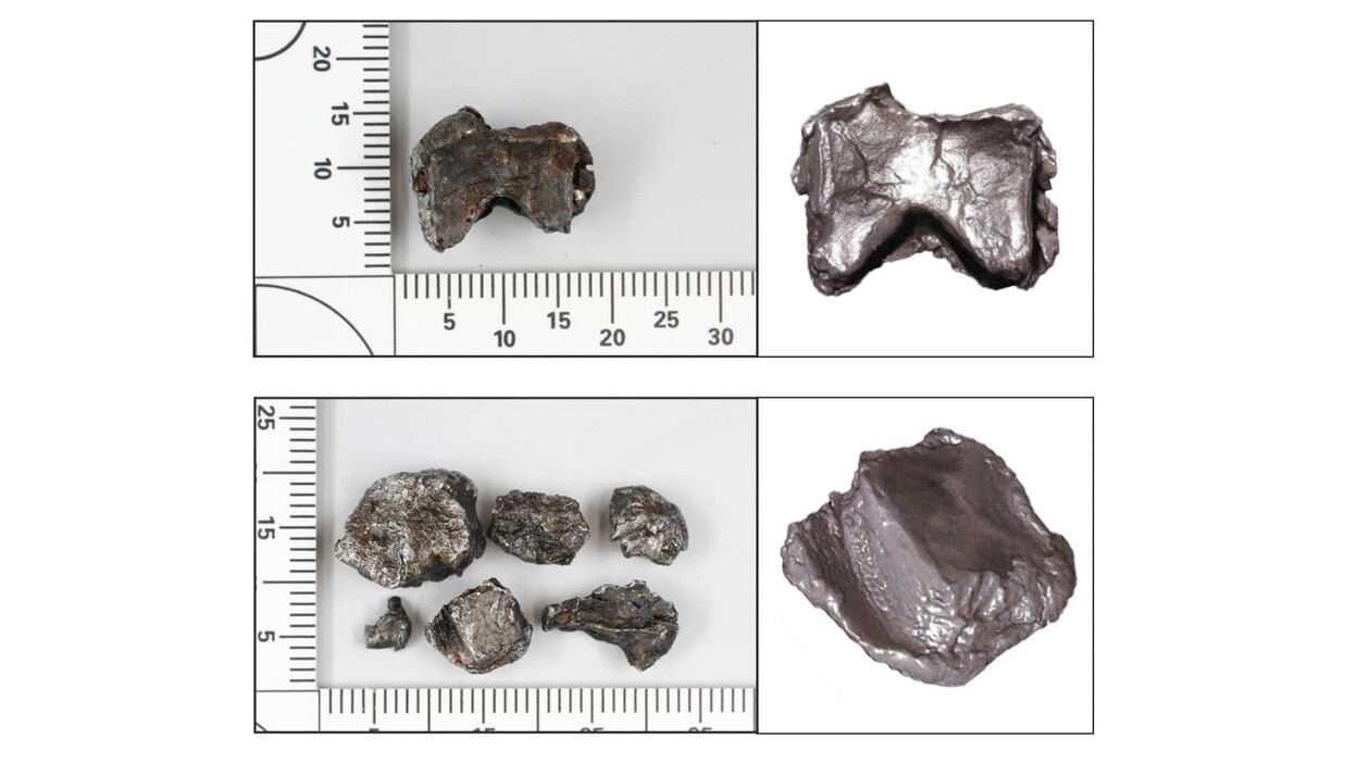 Vlinder en tegelvormige elementen die vliegtuigvreemd materiaal worden genoemd