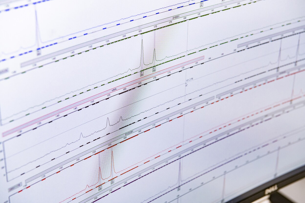 DNA lijnen worden vergeleken