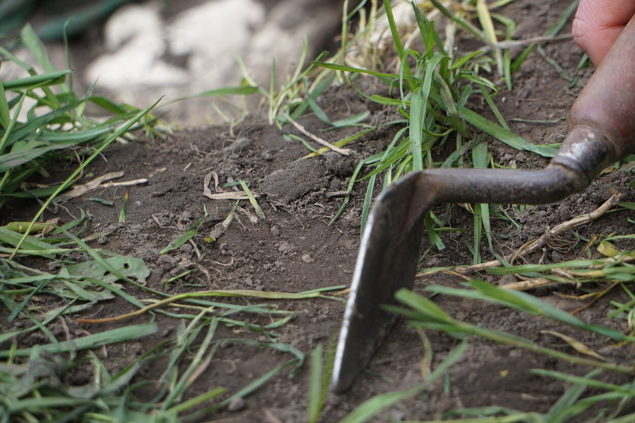Close-up van een schoffel 