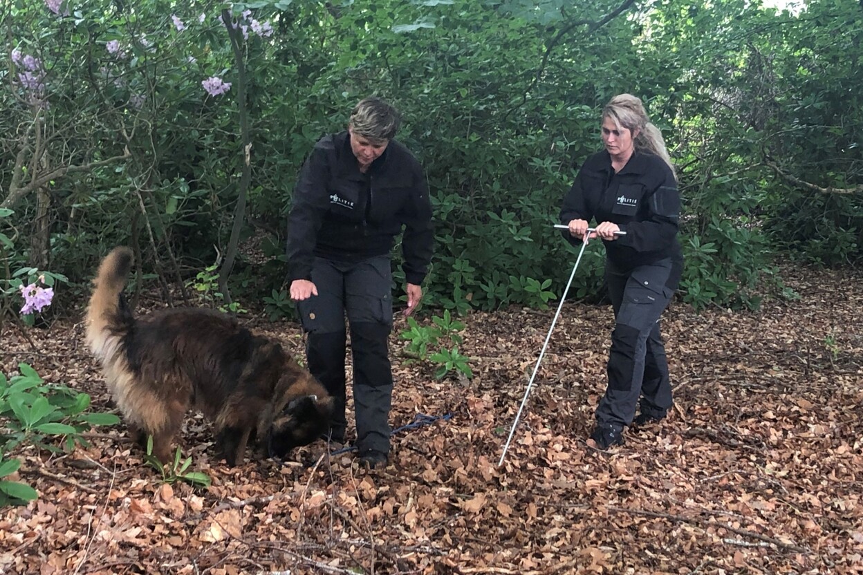 Speurhond helpt de politie met onderzoek